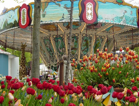 Carousel